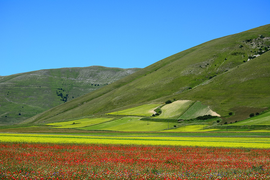 Monti Sibillini Campi coltivati e curve sui Monti Sibillini