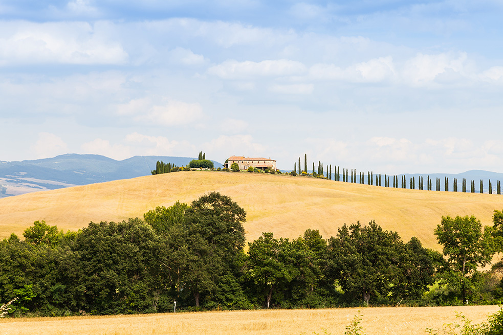 Val d'Orcia Paesaggio rurale e cipressi nella Val d'Orcia in Toscana