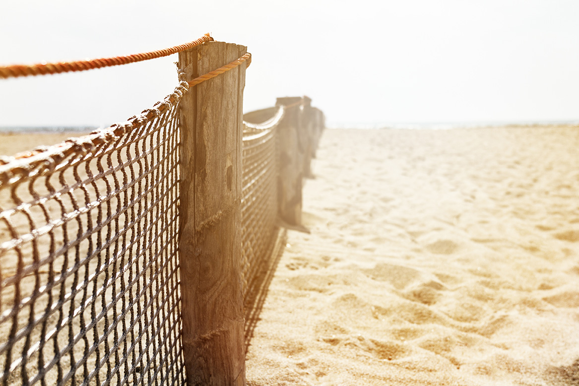 Le caratteristiche poltrone Strandkorb riparate dal vento sulla spiaggia del Baltico